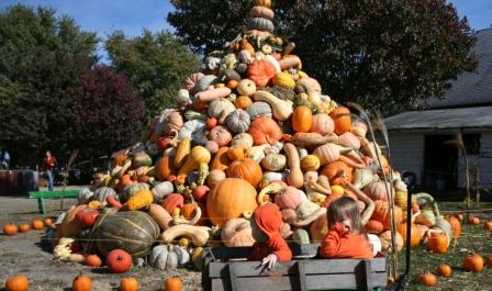 Pumpkin pile