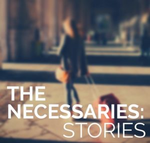 Book cover The Necessaries by Misty Urban
